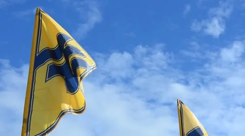 Flag of the regiment