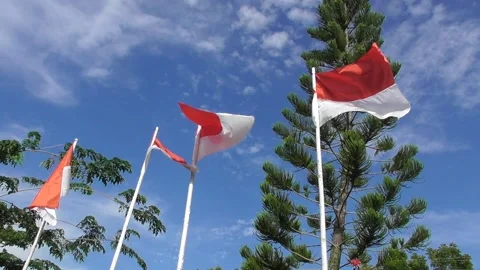 The flag of the Republic of Indonesia flutters Stock Footage 231729373