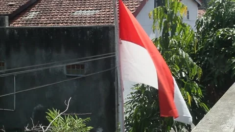 Flag of the republic of indonesia Stock Footage 247902280