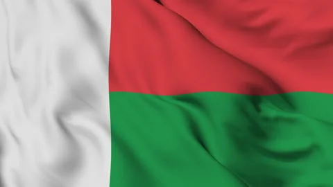 Flag of the Republic of Madagascar gently waving in the wind Stock Footage 140140677