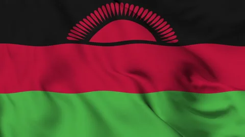 Flag of the Republic of Malawi gently waving in the wind Stock Footage 140140635
