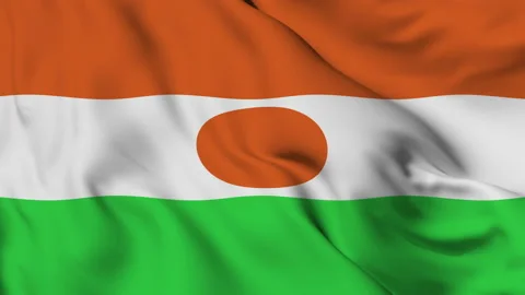 Flag of the Republic of Niger gently waving in the wind Stock Footage 140130298