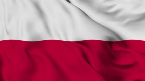 Flag of the Republic of Poland Stock Footage 139970083