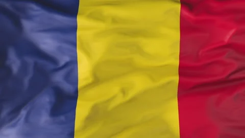 The flag of Romania flutters in the wind. Animation 3D Vídeo Stock 201565637