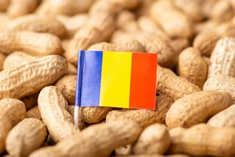 Flag of Romania on peanuts in peel Stock Photos