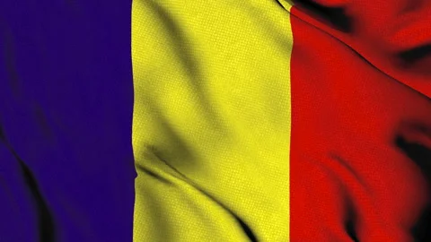 Flag of Romania with vertical blue yellow red stripes Stock Footage 314677594