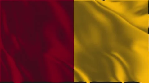 Flag of Rome waving slowly Stock Footage 341968429