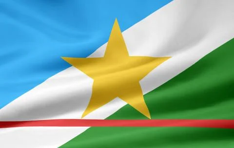 Flag of Roraima Stock Illustration