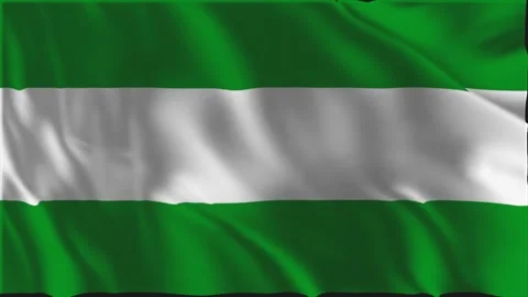 Flag of Rotterdam waving slowly Stock Footage 341968689