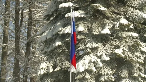 Flag of Russia against the background of snow and trees in the winter Stock Footage 80410445
