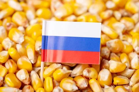 Flag of Russia on corn grain Stock Photos