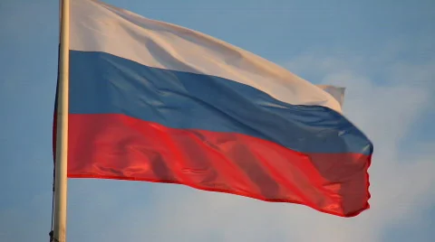 Russian Flag Coat Arms Russia Kremlin Stock Footage Video (100%  Royalty-free) 1053933176