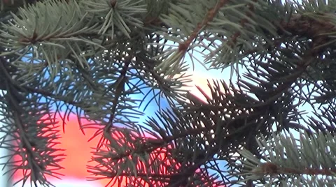 Flag of Russia. Stock Footage 54380683