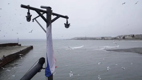 Flag of Russia 스톡 동영상 124291233