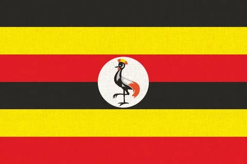 Flag of Rwanda. Rwanda flag on fabric surface. African country 스톡 일러스트