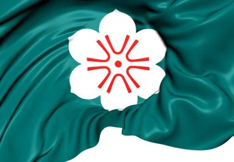 Flag of saga prefecture Stock Illustration