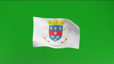 Flag of Saint Barthélemy Stock Footage 162025770