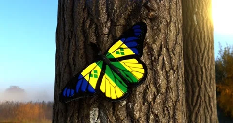 Flag of Saint Vincent and the Grenadines on Butterfly Wings Realistic 4K 60FPS Stock Footage 152520219