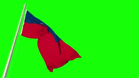 Flag of Samoa is waving on strong wind on chroma key screen, isolated 動画素材 246808661