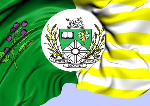 Flag of saskatoon Stock Illustration