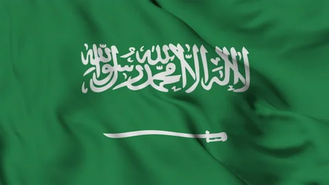 Flag of Saudi Arabia fluttering in the wind Stock Footage 139652465