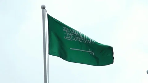 Flag of Saudi Arabia 스톡 동영상 113996692