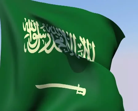 Flag of Saudi Arabia PAL Stock Footage 14807997