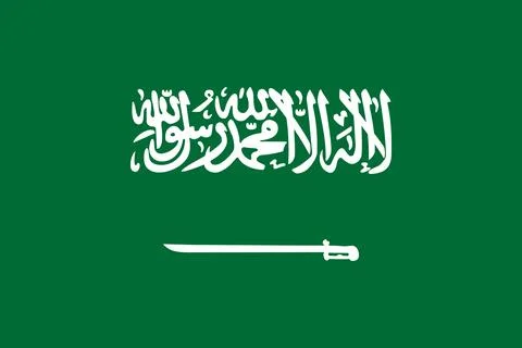 Flag of Saudi Arabia - Vector illustration. イラスト素材