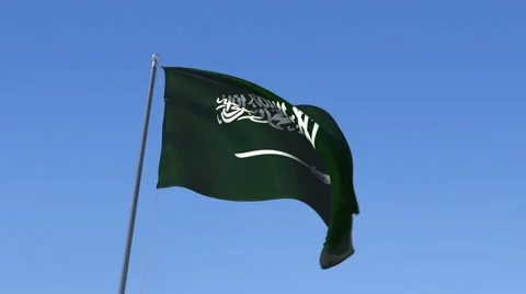 The flag of Saudi Arabia Waving on the Wind. Stock Footage 49895880