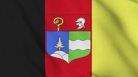 Flag of Saugeais – 4K Seamless Loop of the French Micronations Banner Stock Footage 310572157