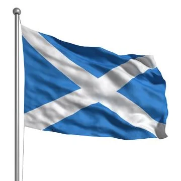 Flag of scotland Illustrazione stock