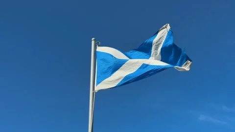 Flag of Scotland waving on pole under clear sky Video stock 341838856