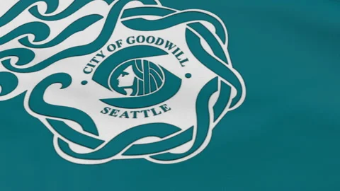 Flag of Seattle City Stock Footage 138208094
