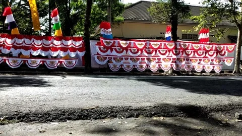 Flag seller Stock Footage 203385253