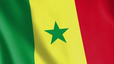 Flag of Senegal Animated Background Stock Footage 328052138