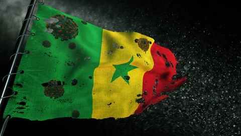 The flag of Senegal is torn and marked with the virus of covid-19 . 動画素材 127199513
