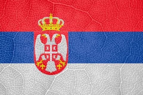 Flag of Serbia on the structure of a tree leaf macro 스톡 사진