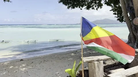 Flag of Seychelles waving at day time in tropical paradise beach Видео 339069216