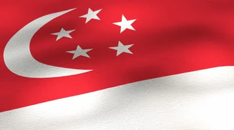 Flag-Singapore-25fps-angle Vídeo Stock 8840870
