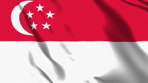 Flag of Singapore Stock Footage 242804483