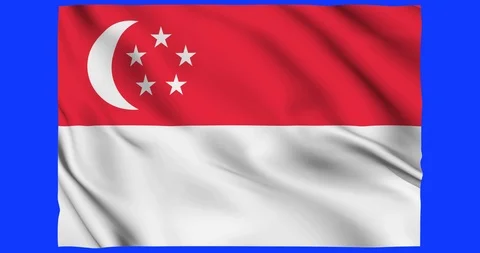 Flag of Singapore waving on a samless loop over an easily removable background Stock Footage 98372707