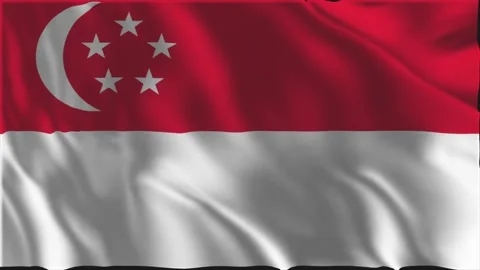 Flag of Singapore waving slowly Stock-Footage 337909571