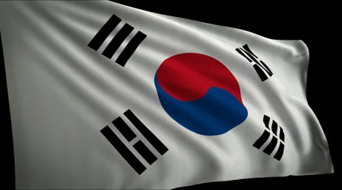 Flag SKorea Stock Footage 37667154