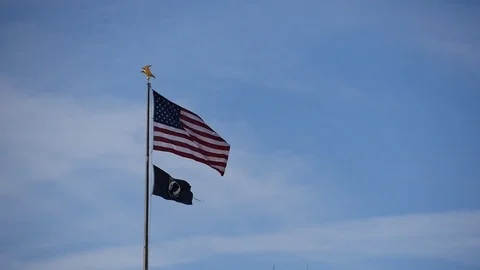 Flag on the sky 스톡 동영상 84309556