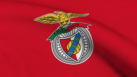 Flag with S.L. Benfica Logo Loop Stock Footage 220293758