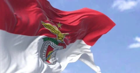 The flag of SLB Benfica waving in the wind Video stock 220719042