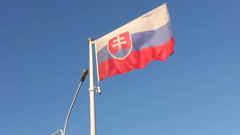 Flag of Slovakia Vídeos de archivo 124521407