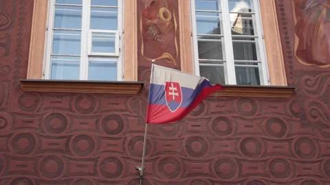 Flag of slovakia Stockbeeldmateriaal 244427467