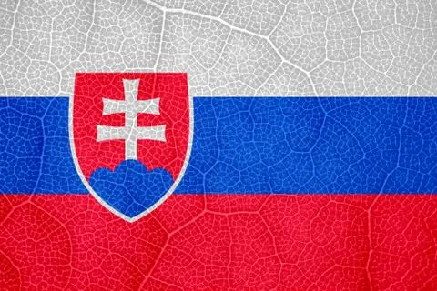 Flag of Slovakia on the structure of a tree leaf macro Stock-Fotos