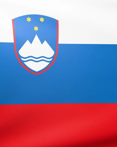 Flag of Slovenia Video stock 300852993